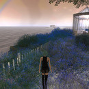 Thumb 6363cfee0106e107dfc3fab6