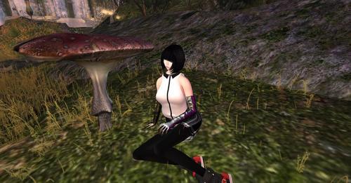 Web 608fd088f1188e0183420d21