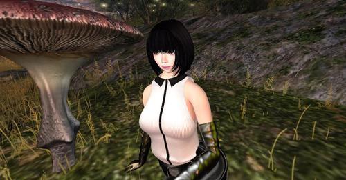 Web 608fd0a3f1188e0281420d21