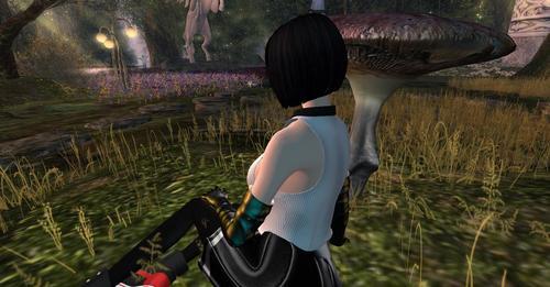 Web 608fd0bef1188e036c420d21