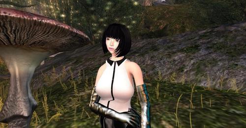 Web 608fd11f6f736d0ef87b037f