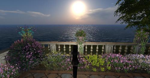 Web 6304aeb4a7496126373a9c68