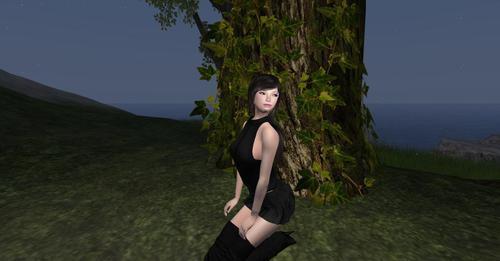 Web 6304ff4050bff4697a7e60c2