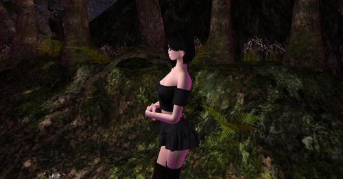 Web 6305d828cb2a676071685f75