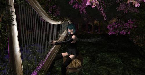 Web 63070c6c9629296ea64c3295