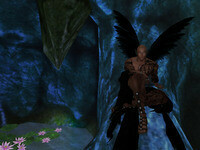 Small 65c993d9e9253b5204e745fe