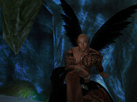 Small 65c99462b404005327eec037