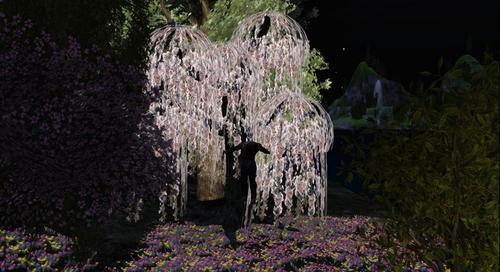 Web 5c6e1380d9859c5ecb000001