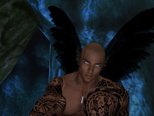 Web 65c9959eb4040055f9eec037