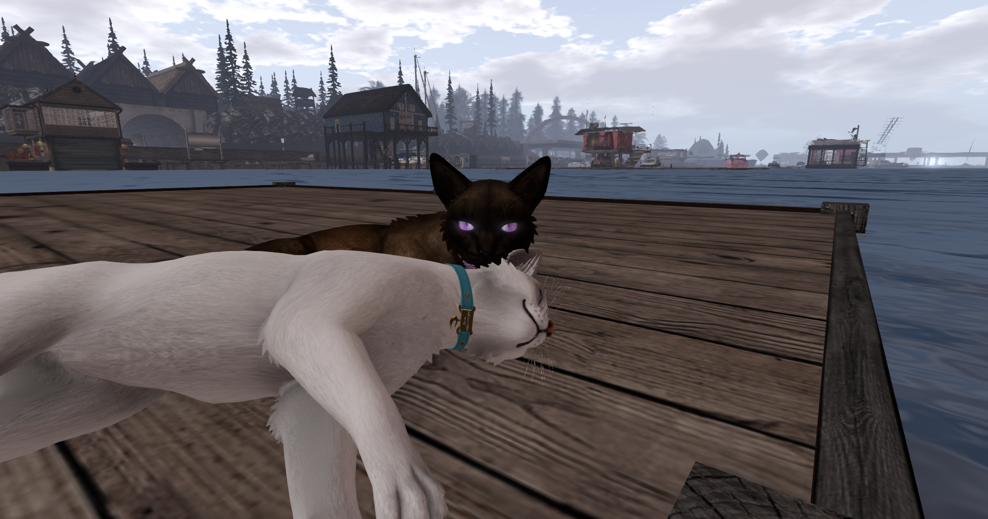 Original 66dd1f2172ff2f597223f04a