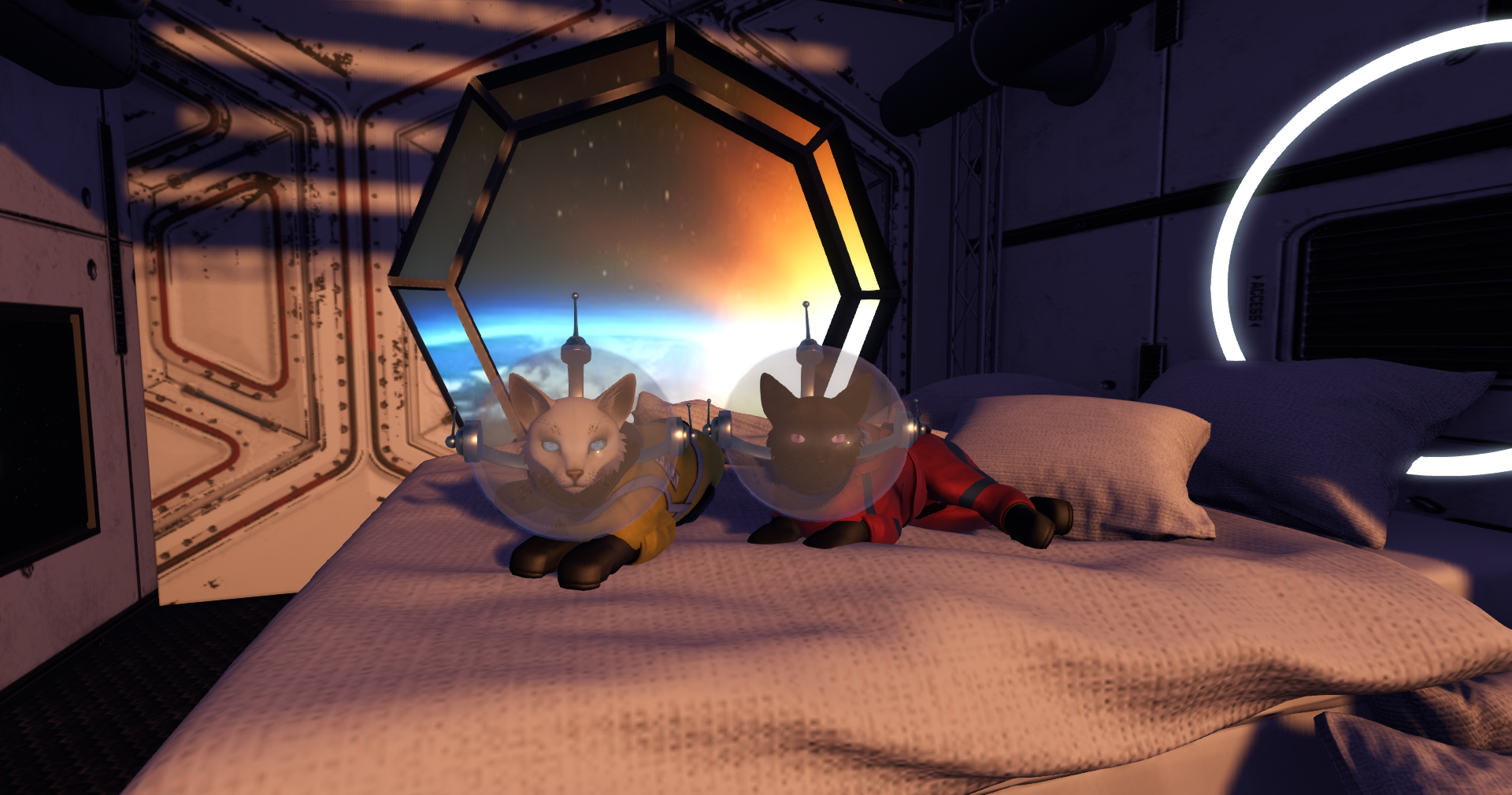 Original 66e3baad560cd76eb71f86af