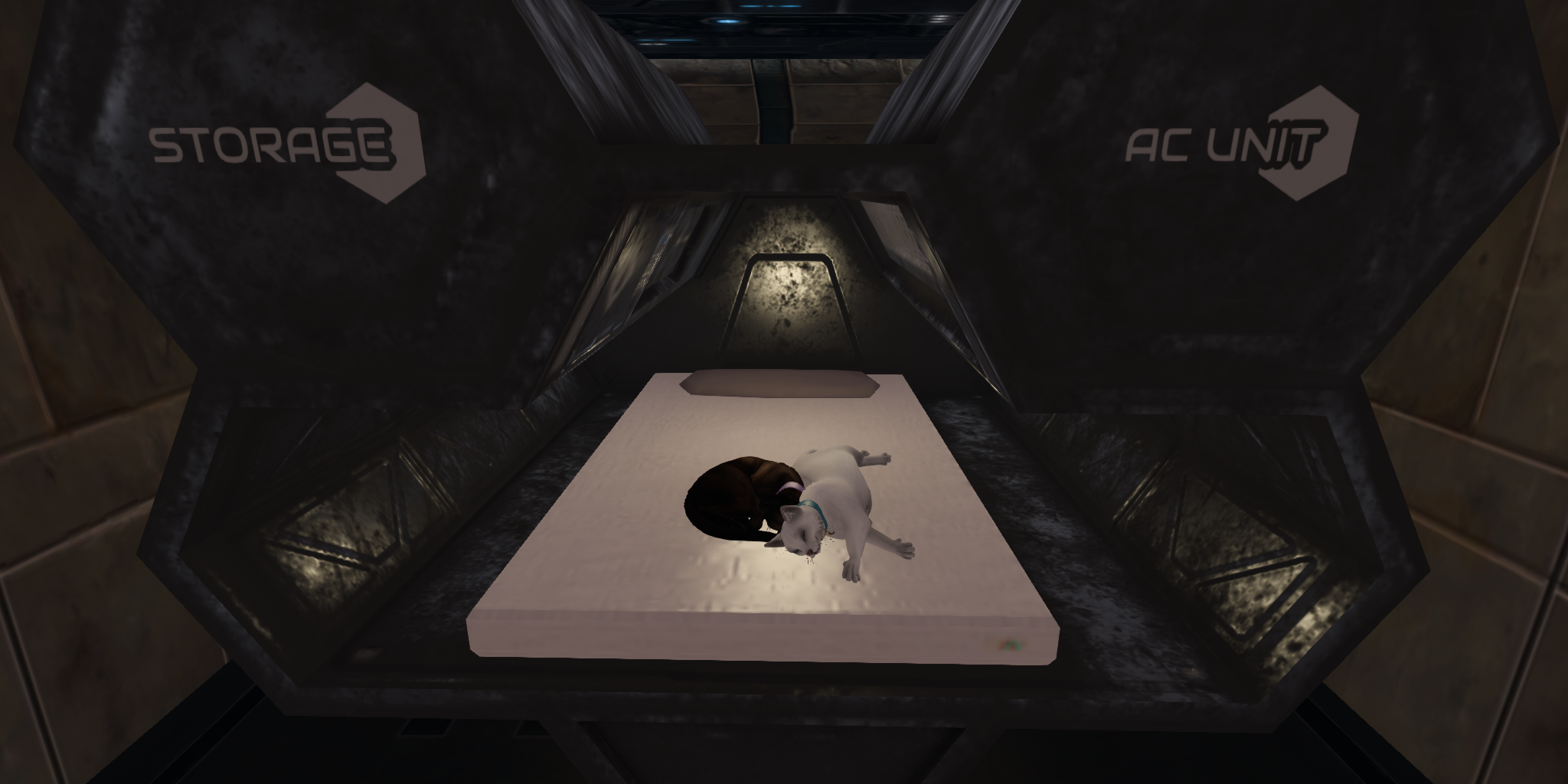 Original 66f793edc892c87e06846f77