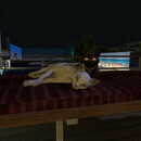 Thumb 66b44a8c6e233a0ae930c087