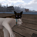 Thumb 66dd1f2172ff2f597223f04a