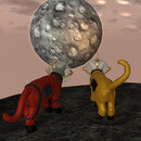 Thumb 66e3c0d52c8ed238fb729709