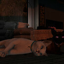 Thumb 66e3c9929945f33b4c1ebfc5