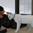 Thumb 670decbbf64909151e016962