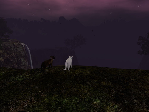 Web 66bc3bd5c32c975f56d3a51e