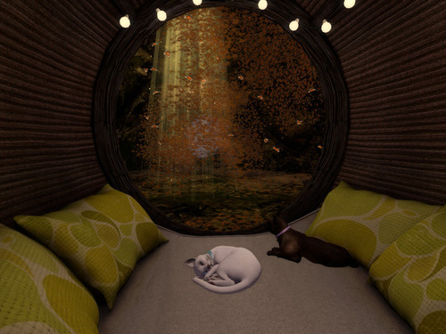 Web 66bc45022c8ed25380729709