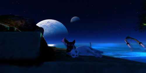 Web 672848a0f64909058c016962