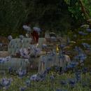 Thumb 5d168e10289dd24468000001