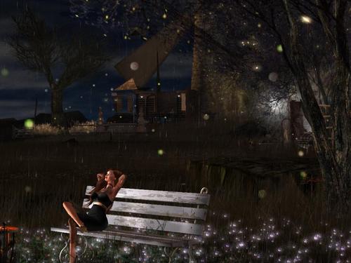 Web 5d0147f5289dd26249000001