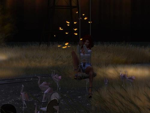 Web 5d16674ad774f8023b000001