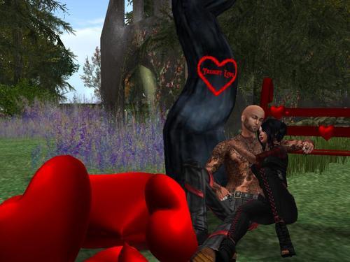 Web 5e4671fcd774f802c85aab98