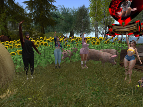 Web 64a5bce1241f2d3effe6b7c1