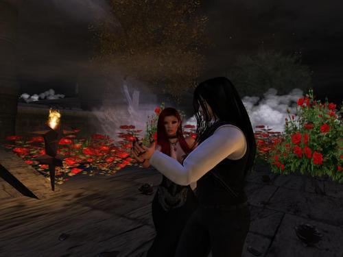 Web 5fd7c5f18176485b6c7be70b