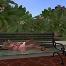 Thumb 5cb6db54d9859c3ebb000001