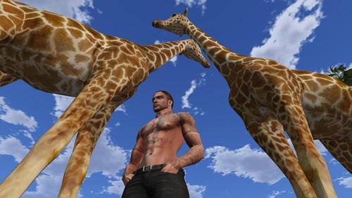 Web 61432f4c215bfa3e7c55282f