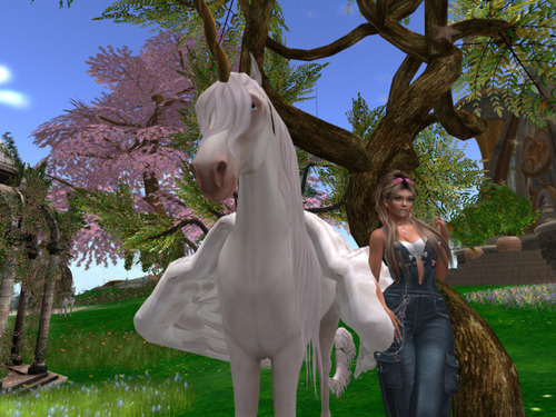 Web 667c56773f920f0499b1eb84