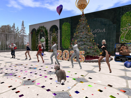 Web 6771b0387dc6a21aec45a22a