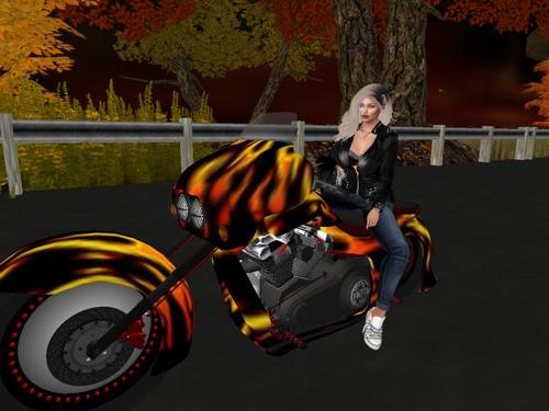 Web 5d87511dd774f81f65000001