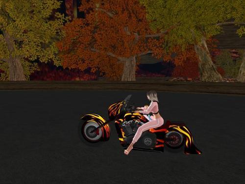 Web 5e7f7146d774f8446b29e566