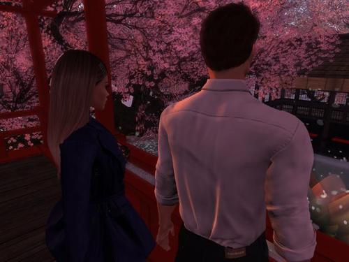 Web 5e0873ef289dd26466977e46