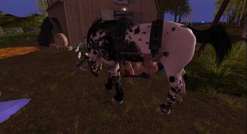 Web 5fe8f70ca8695617d4d68657