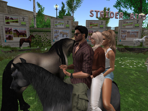 Web 64d301d25641222adc116f20