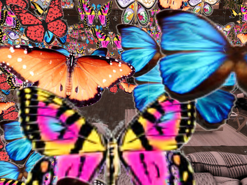 Web 667608591ec7637bc2f13bab