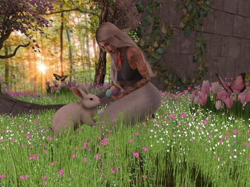 Web 6242a6ec9044f459d9d1fa41