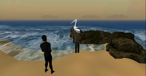 Web 5cb4651bd9859c10c6000001