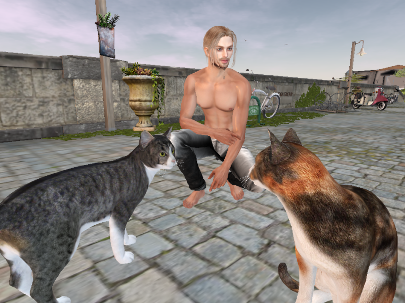 Original 65c79736f245c11b49157382