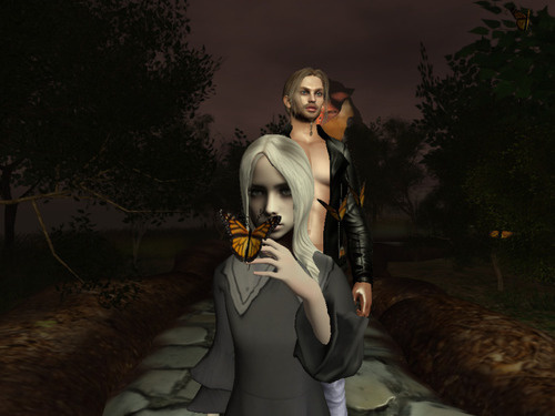 Web 65c64c70e653e64187892c2a