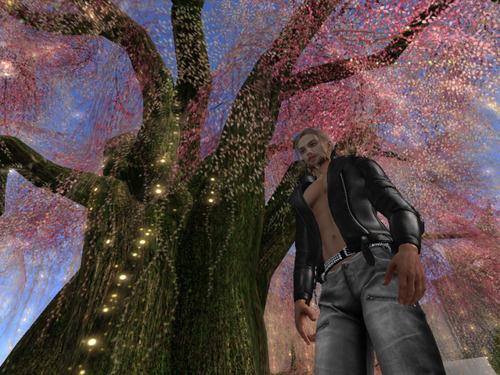 Web 65c78c4583f6e75a3f7c9bc9