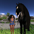 Thumb 64cce4735641222721116f20