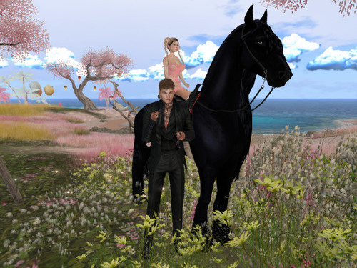 Web 66951a2df73d101de1875b01