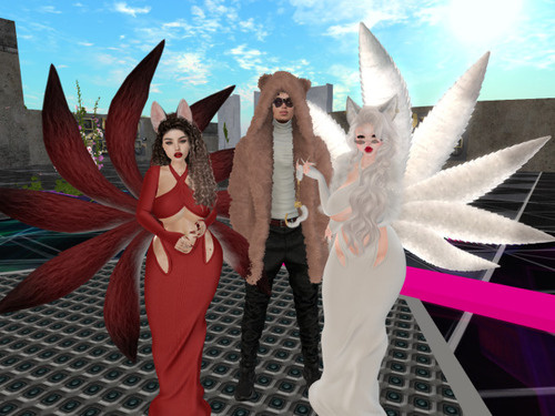 Web 669af09c20ed66402cc9928f