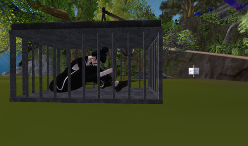 Web 6439a134c3f4364ff792d406