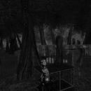 Thumb 5ca4d93cd9859c3f32000001